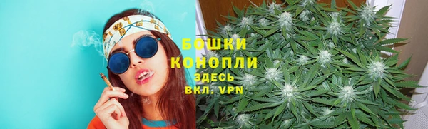 ГАЛЛЮЦИНОГЕННЫЕ ГРИБЫ Гвардейск