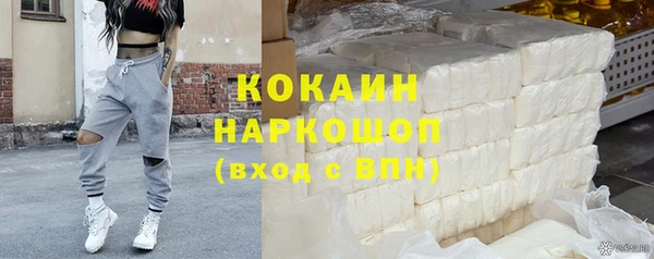 шишки Коряжма