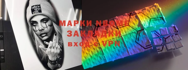 шишки Коряжма