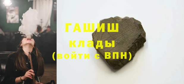 шишки Коряжма