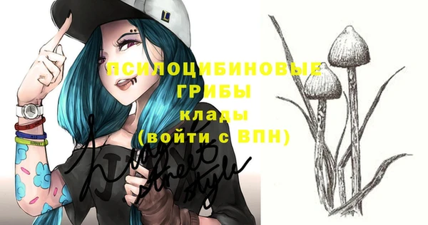 дурь Кодинск