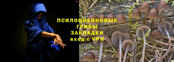 стафф Козельск