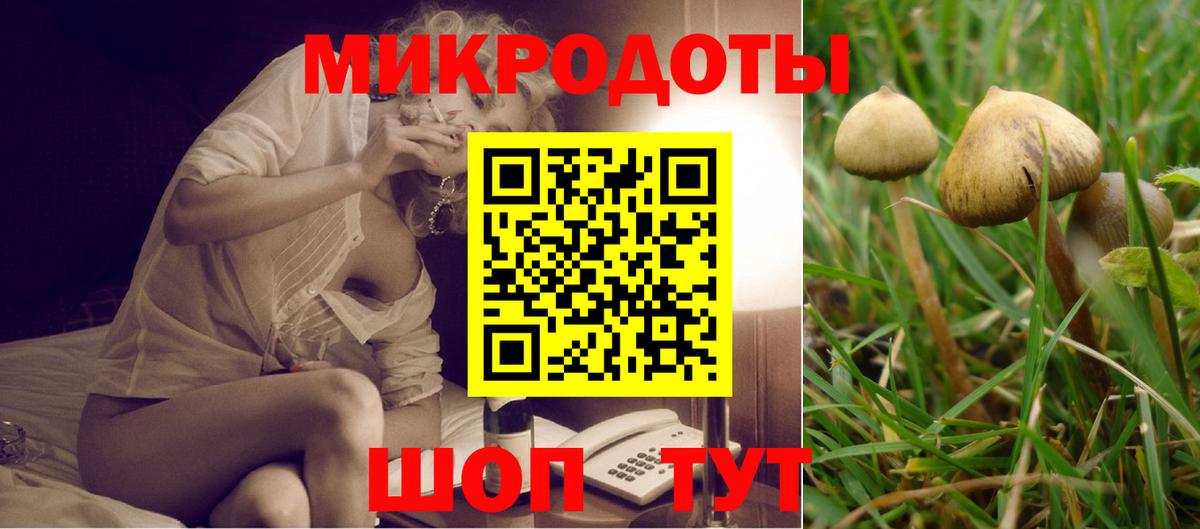 Галлюциногенные грибы MAGIC MUSHROOMS Котельники