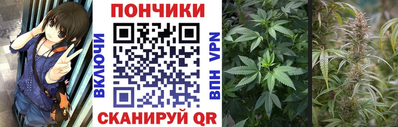 купить наркоту  Котельники  Бошки марихуана OG Kush 